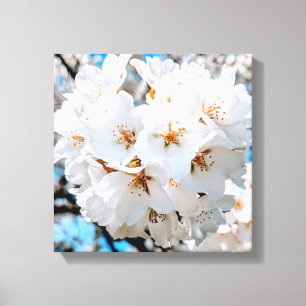 Schöne weiße Blumen unter einer hellen Leinwanddruck