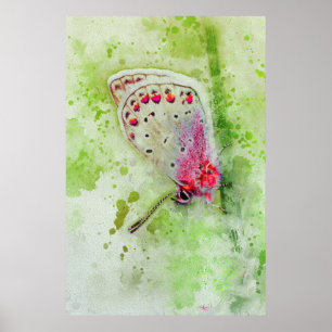 schöne weiße Butterfly auf einer Stielmalerei Poster