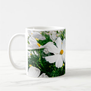 Schöne weiße Cosmos-Blumen blühen in Gardena Kaffeetasse