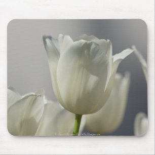 Schöne weiße Frühlings-Tulpen Mousepad