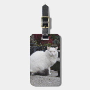 Schöne weiße Katze auf einem Grab Gepäckanhänger