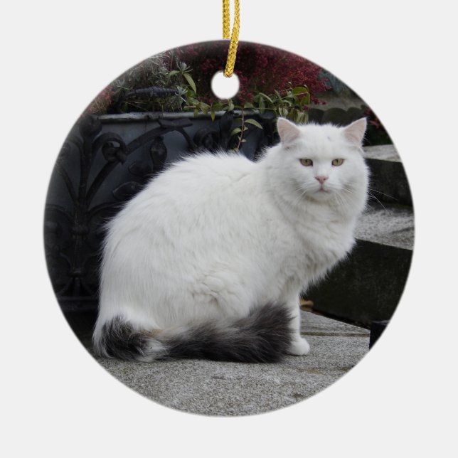 Schöne weiße Katze auf einem Grab Keramikornament (Vorne)