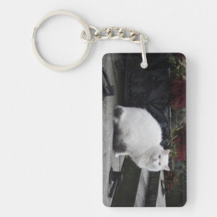 Schöne weiße Katze auf einem Grab Schlüsselanhänger