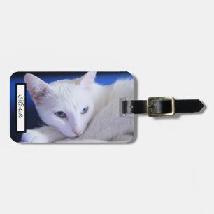 Schöne weiße Katze/Foto des Haustiers hinzufügen Gepäckanhänger