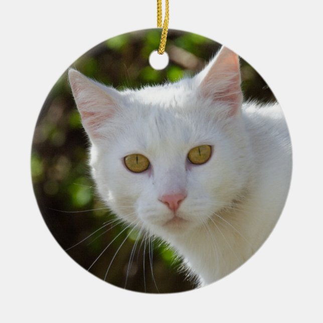 Schöne weiße Katze Keramikornament (Vorne)