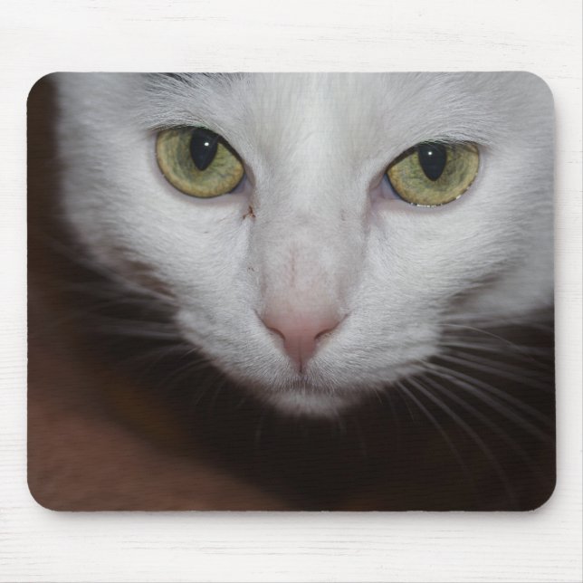 Schöne weiße Katze Mousepad (Vorne)
