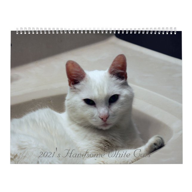 Schöne weiße Katzen 2021 Kalender (Titelbild)