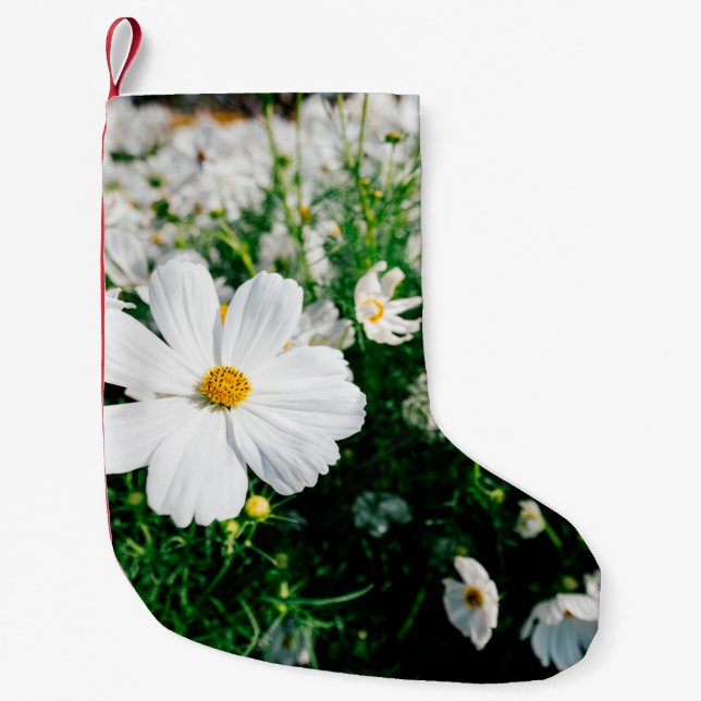Schöne weiße Kosmos Blume blühen in Gärten Kleiner Weihnachtsstrumpf (Vorderseite)