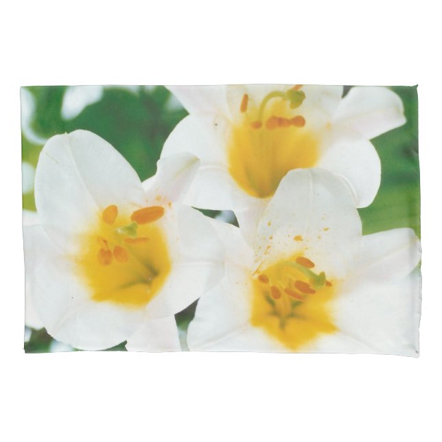 Schöne weiße Lilien - Lilium candidum Kissenbezug (Vorderseite)