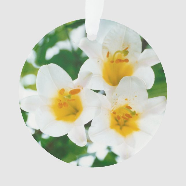 Schöne weiße Lilien - Lilium candidum Ornament (Vorderseite)