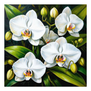 schöne weiße Orchideen Fotodruck