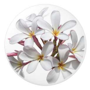 Schöne weiße Plumeria- oder Frangipani-Blume Keramikknauf