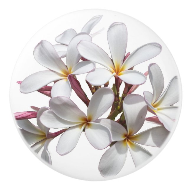 Schöne weiße Plumeria- oder Frangipani-Blume Keramikknauf (Vorderseite)