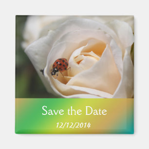 Schöne weiße Rose Blume Save the Date Magnet