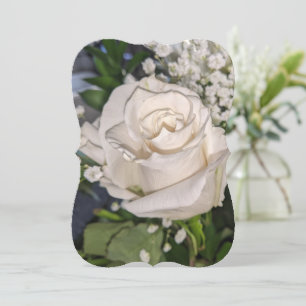Schöne weiße Rose-Flachkarte