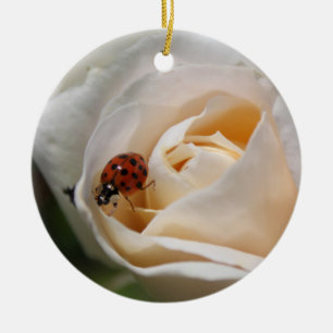 schöne weiße Rosenblume und Marienkäfer Keramik Ornament