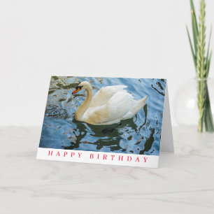 Schöne weiße Schwan-Birthday-Karte Karte