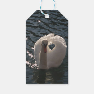 Schöne weiße Schwan-Klassik-Rundaufkleber Geschenkanhänger