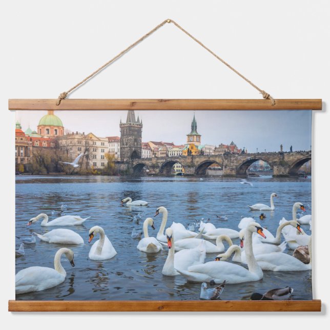 Schöne weiße Schwäne am Fluss Vitava in Prag Wandteppich Mit Holzrahmen (Vorne)