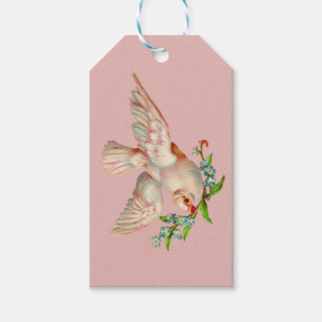 schöne weiße Taube mit Sprig im Mund Geschenkanhänger (Vorderseite)