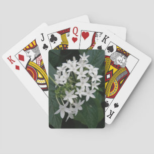 Schöne, weiße tropische Blume spielen Karten Spielkarten