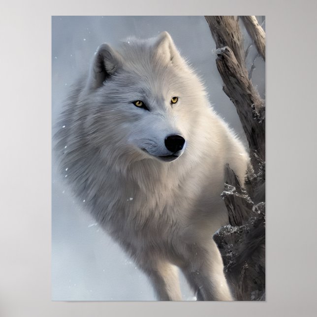 Schöne Weiße Wolf Kunst Poster (Vorne)