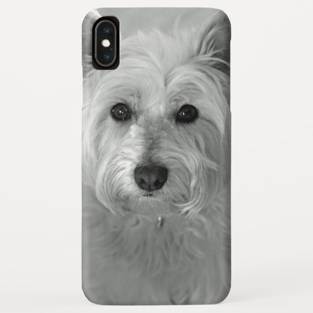 Schöne Westie Dog iPhone Case (Rückseite)