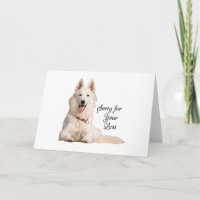 Schöne White German Shepherd Sorry für Ihre Los