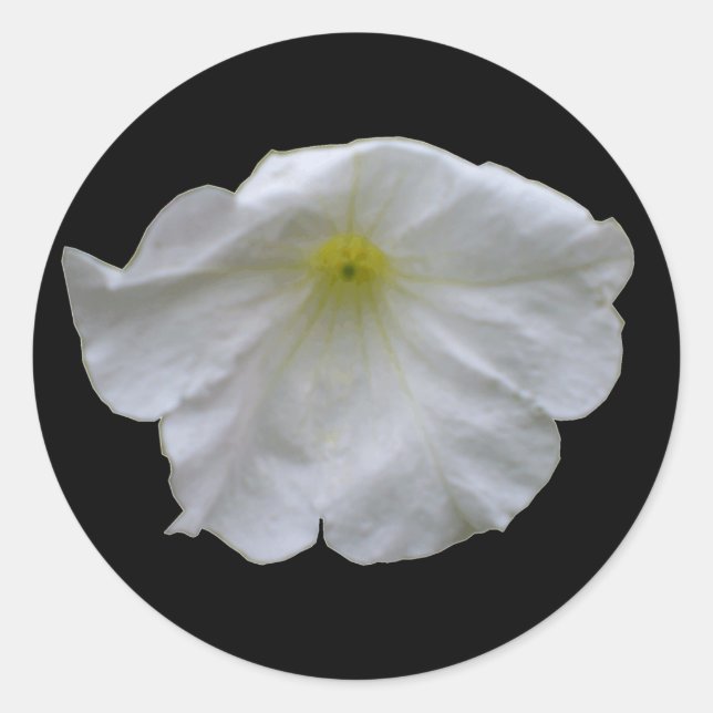 Schöne White Petunia Sticker (Vorderseite)