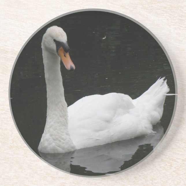 Schöne White Swan Untersetzer (Vorne)