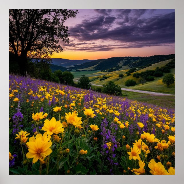 Schöne Wiese mit lebhaften Blume bei Sonnenaufgang Poster (Vorne)