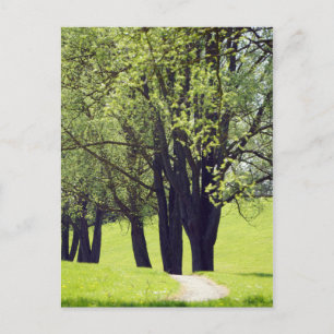 Schöne Wiese Postkarte