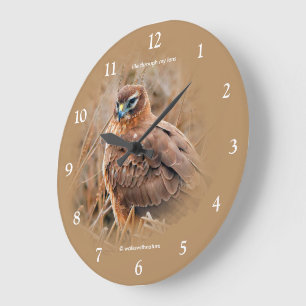 Schöne Wiesenweihe im Sumpf Große Wanduhr