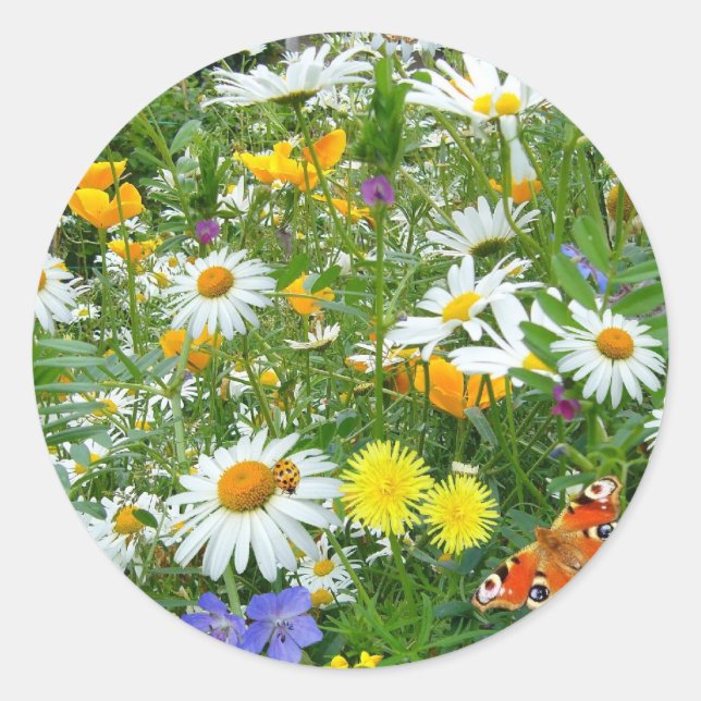 Schöne Wildblume und Schmetterlingswiese Runder Aufkleber (Vorderseite)