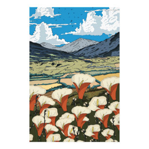 Schöne Wildblumenwiesenlandschaft Fotodruck