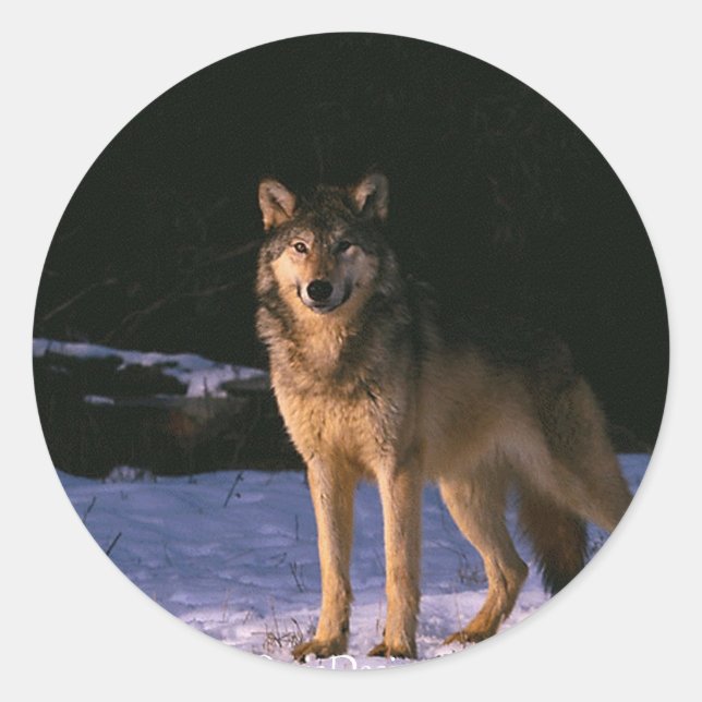 schöne wilde Tiere Runder Aufkleber (Vorderseite)