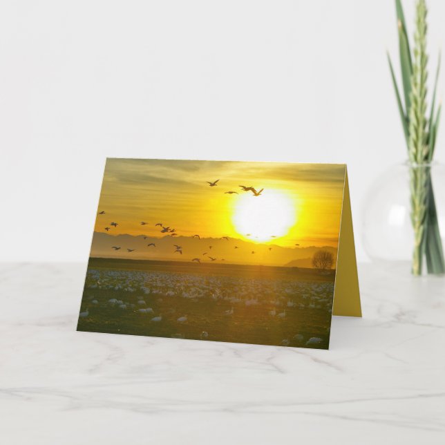 Schöne Wildvögel bei Sonnenuntergang, Lanscape Karte (Vorderseite)