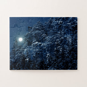 Schöne Winterlandschaft mit Schnee bedeckte Bäume