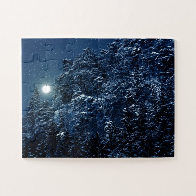 Schöne Winterlandschaft mit Schnee bedeckte Bäume (Horizontal)