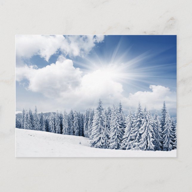 Schöne Winterlandschaft mit Schnee Postkarte (Vorderseite)