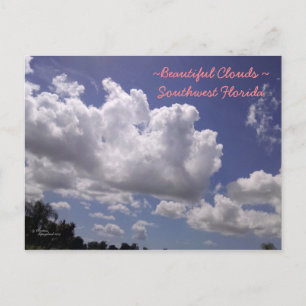 Schöne Wolken SW Florida Postcard Postkarte