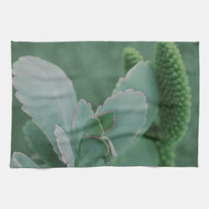 Schöne Wüste Pflanze Art Foto Handtuch