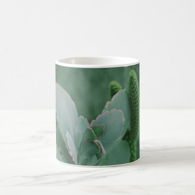 Schöne Wüste Pflanze Art Foto Kaffeetasse (Mittel)