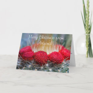 Schöne Wüstengrüße mit Rot-Kakteen-Blume Feiertagskarte