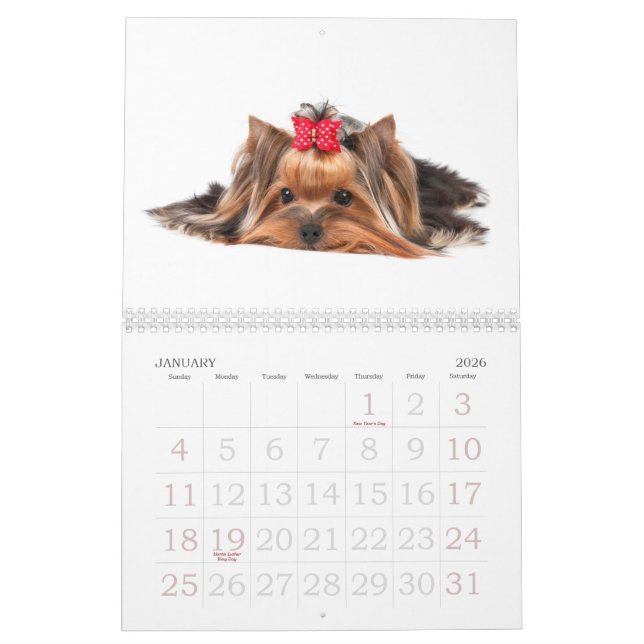 Schöne Yorkshire-Terrier Kalender (Jan 2026)