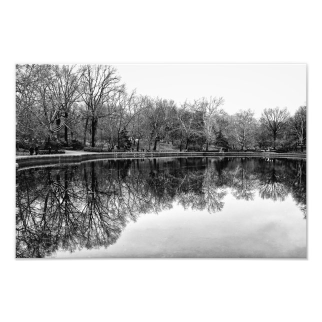 Schöne zentrale Parklandschaft in Schwarz & Weiß Fotodruck (Vorne)