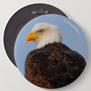 Schöner Adler im Baum Button
