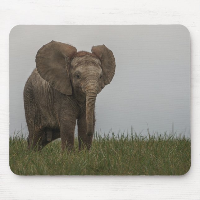 Schöner afrikanischer Bush-Elephant Mousepad (Vorne)