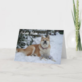 schöner akita Hund ruht sich in Schneeschauer Feiertagskarte