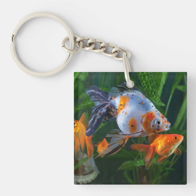 Schöner Aquarium Fisch Tank Schlüsselanhänger (Vorderseite)